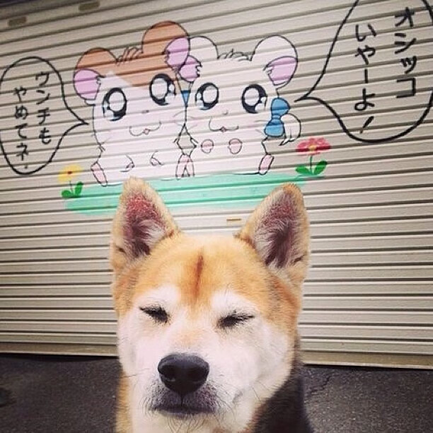 【比赛分析】马克·塞尔比的防守策略，谁能破解？，马克塞尔比的人生经历