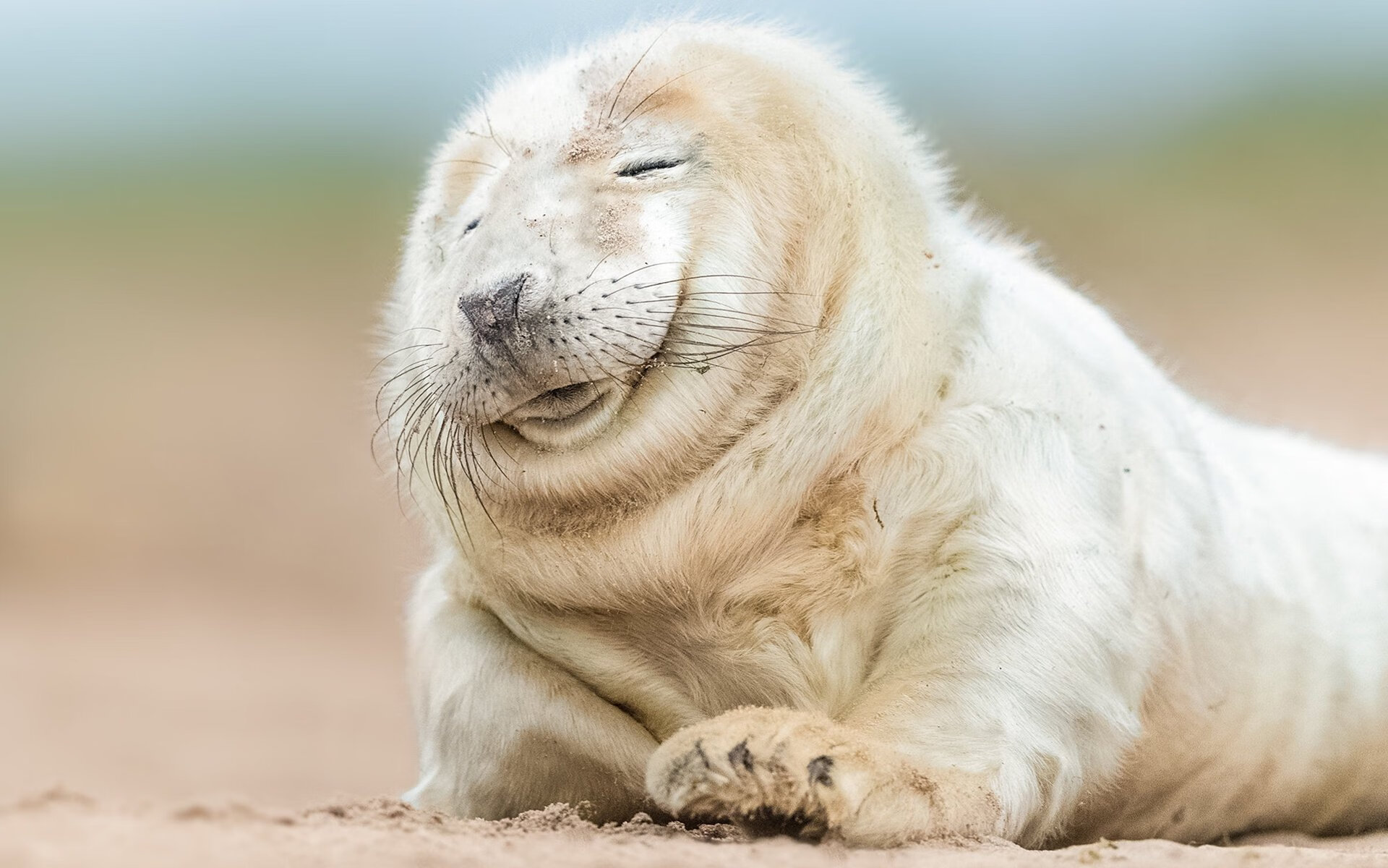 史上最具观赏价值的进攻阵容盘点,进攻大全