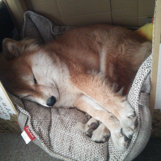 《CS_GO最激烈决赛，现场血脉喷张》，csgo最盛大的比赛